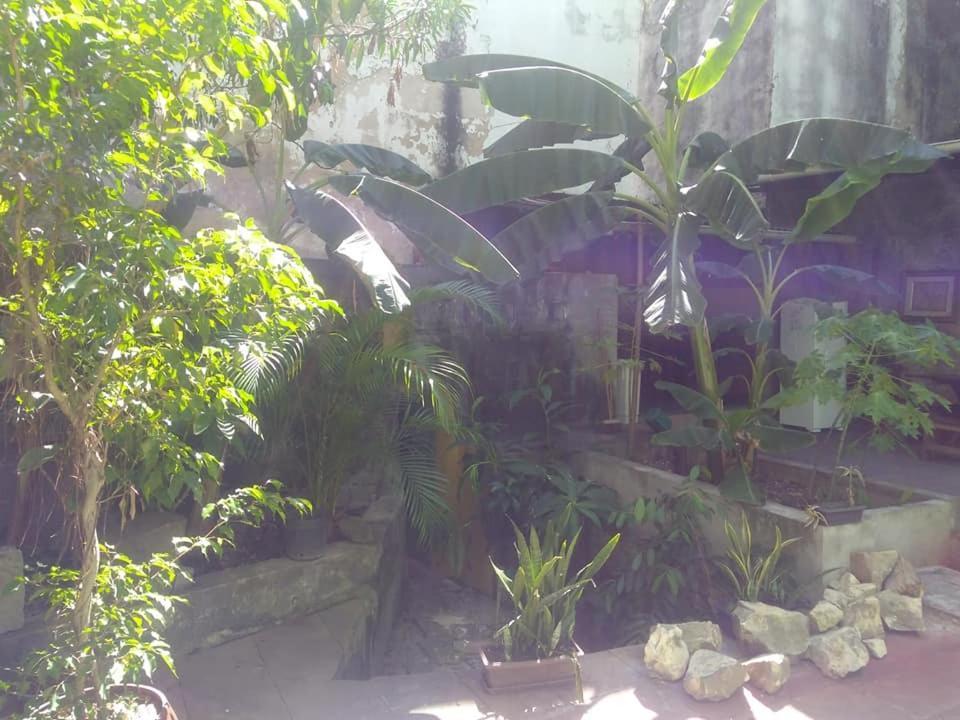 Fusion Guesthouse Salvador Ngoại thất bức ảnh